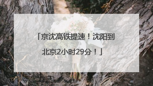 京沈高铁提速！沈阳到北京2小时29分！
