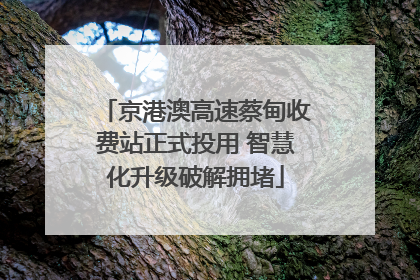 京港澳高速蔡甸收费站正式投用 智慧化升级破解拥堵