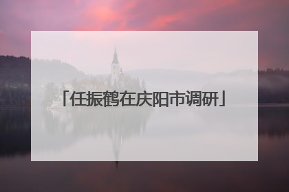 任振鹤在庆阳市调研