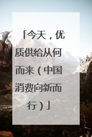 今天，优质供给从何而来（中国消费向新而行）