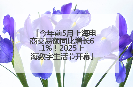 今年前5月上海电商交易额同比增长6.1%！2025上海数字生活节开幕