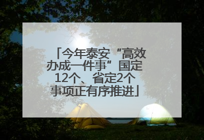 今年泰安“高效办成一件事”国定12个、省定2个事项正有序推进