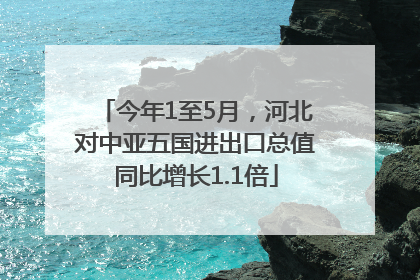 今年1至5月，河北对中亚五国进出口总值同比增长1.1倍