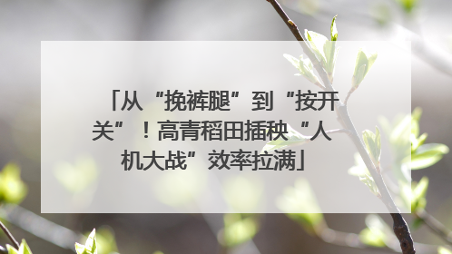 从“挽裤腿”到“按开关”！高青稻田插秧“人机大战”效率拉满