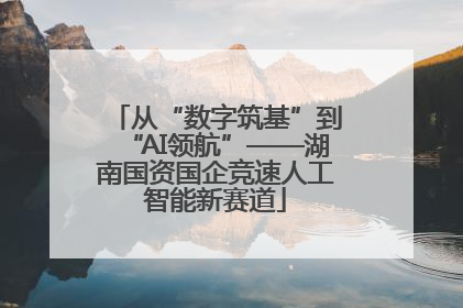 从“数字筑基”到“AI领航”——湖南国资国企竞速人工智能新赛道