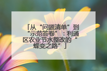 从“问题清单”到“示范答卷”：利通区农业节水整改的“蝶变之路”