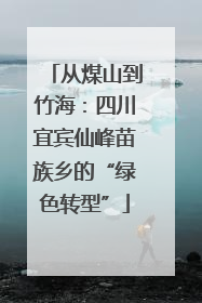 从煤山到竹海：四川宜宾仙峰苗族乡的“绿色转型”