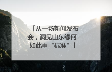 从一场新闻发布会，洞见山东缘何如此重“标准”