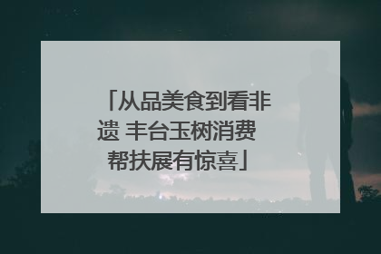 从品美食到看非遗 丰台玉树消费帮扶展有惊喜