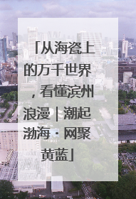 从海瓷上的万千世界，看懂滨州浪漫｜潮起渤海・网聚黄蓝