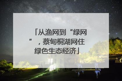 从渔网到“绿网”，蔡甸桐湖网住绿色生态经济