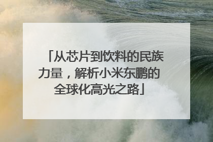 从芯片到饮料的民族力量，解析小米东鹏的全球化高光之路