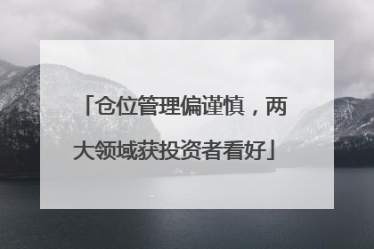 仓位管理偏谨慎，两大领域获投资者看好