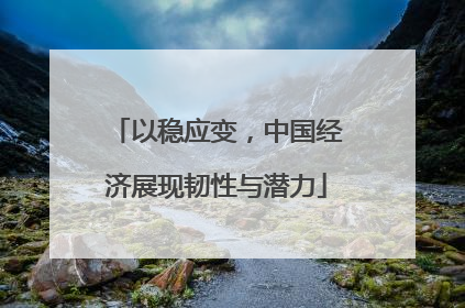 以稳应变，中国经济展现韧性与潜力
