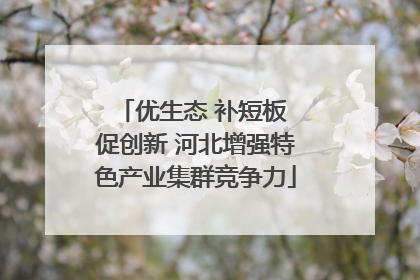 优生态 补短板 促创新 河北增强特色产业集群竞争力