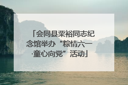 会同县粟裕同志纪念馆举办“粽情六一·童心向党”活动