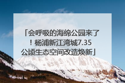 会呼吸的海绵公园来了！杨浦新江湾城7.35公顷生态空间改造焕新