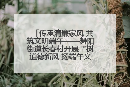 传承清廉家风 共筑文明端午——舞阳街道长春村开展“树道德新风 扬端午文化”主题活动