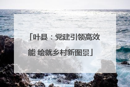 叶县：党建引领高效能 绘就乡村新图景