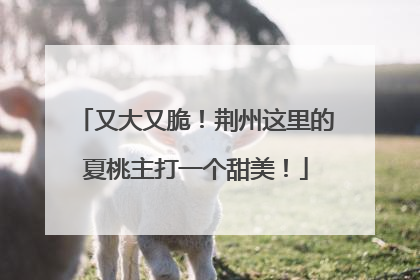 又大又脆！荆州这里的夏桃主打一个甜美！
