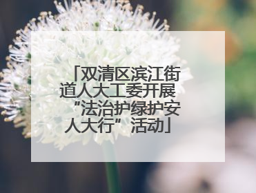 双清区滨江街道人大工委开展“法治护绿护安人大行”活动