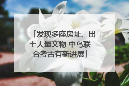 发现多座房址、出土大量文物 中乌联合考古有新进展