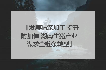 发展精深加工 提升附加值 湖南生猪产业谋求全链条转型