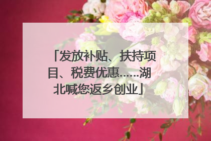发放补贴、扶持项目、税费优惠……湖北喊您返乡创业
