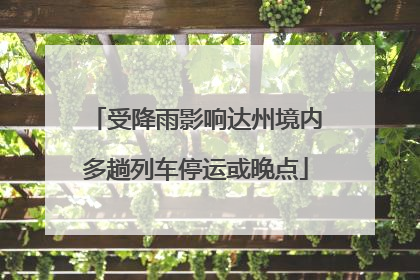受降雨影响达州境内多趟列车停运或晚点