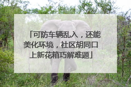可防车辆乱入，还能美化环境，社区胡同口上新花箱巧解难题