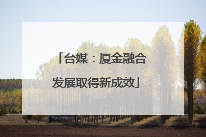 台媒：厦金融合发展取得新成效