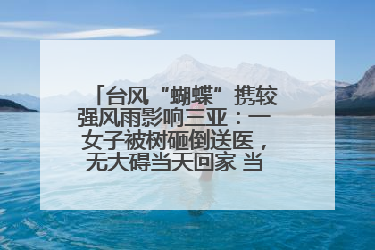 台风“蝴蝶”携较强风雨影响三亚：一女子被树砸倒送医，无大碍当天回家 当地已紧急清障