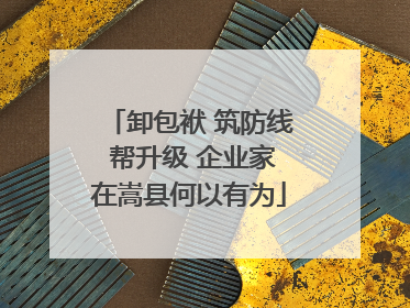 卸包袱 筑防线 帮升级 企业家在嵩县何以有为