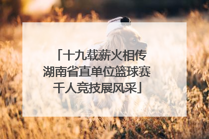 十九载薪火相传 湖南省直单位篮球赛千人竞技展风采