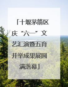 十堰茅箭区庆“六一”文艺汇演暨五育并举成果展圆满落幕