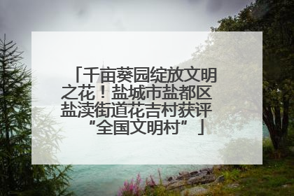 千亩葵园绽放文明之花！盐城市盐都区盐渎街道花吉村获评“全国文明村”