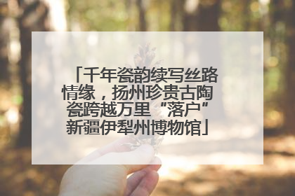 千年瓷韵续写丝路情缘，扬州珍贵古陶瓷跨越万里“落户”新疆伊犁州博物馆