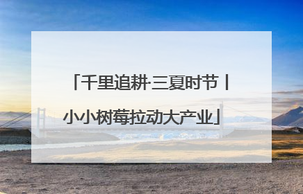 千里追耕·三夏时节丨小小树莓拉动大产业