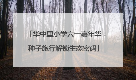 华中里小学六一嘉年华：种子旅行解锁生态密码