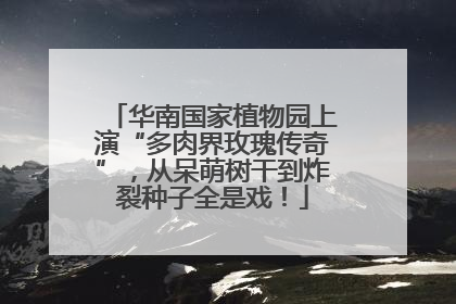 华南国家植物园上演“多肉界玫瑰传奇”，从呆萌树干到炸裂种子全是戏！