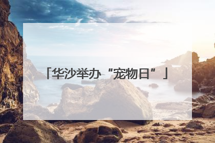 华沙举办“宠物日”
