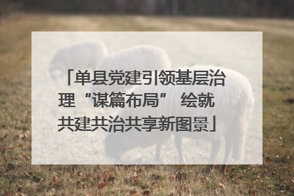 单县党建引领基层治理“谋篇布局” 绘就共建共治共享新图景