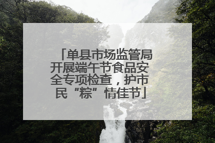 单县市场监管局开展端午节食品安全专项检查，护市民“粽”情佳节