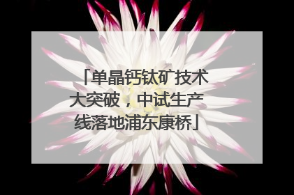 单晶钙钛矿技术大突破，中试生产线落地浦东康桥