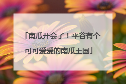 南瓜开会了！平谷有个可可爱爱的南瓜王国