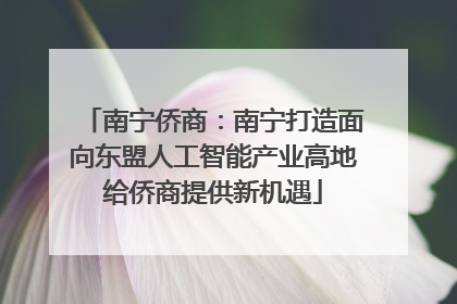 南宁侨商：南宁打造面向东盟人工智能产业高地给侨商提供新机遇
