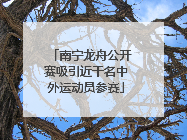 南宁龙舟公开赛吸引近千名中外运动员参赛