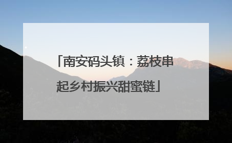 南安码头镇：荔枝串起乡村振兴甜蜜链
