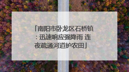 南阳市卧龙区石桥镇：迅速响应强降雨 连夜疏通河道护农田
