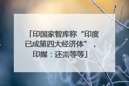 印国家智库称“印度已成第四大经济体”，印媒：还需等等